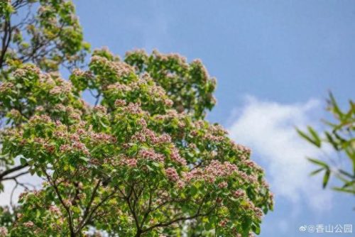 排名前十火的景点(新余景点排名前十)插图