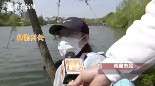 黑天鹅是谁(黑天鹅是谁蒙面歌王)插图3
