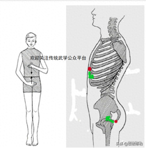 什么叫含胸(含胸是指什么意思)插图7