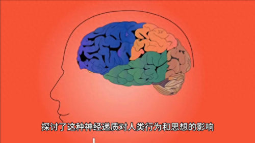 陌若安生(陌若安生什么意思)插图