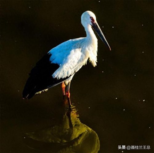 盐城水域排名前十(盐城市省内排名)插图28