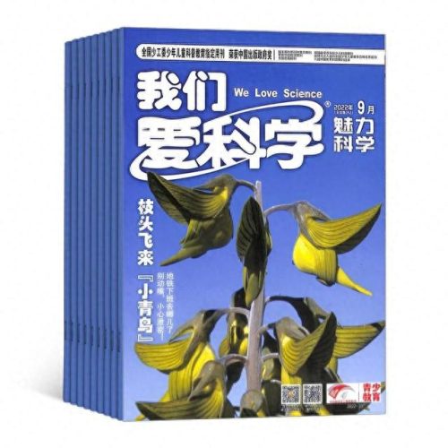 学生思维排名前十(学生十种思维方法)插图9