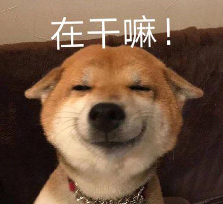 打招呼表情(哈喽表情包)插图15