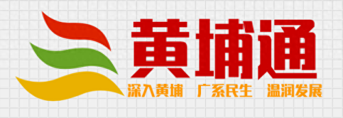 南沙楼盘 排名前十(南沙区比较好的楼盘)插图
