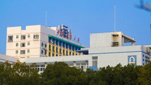 安宁区艺术学校排名前十(安宁十大小学排名)插图7