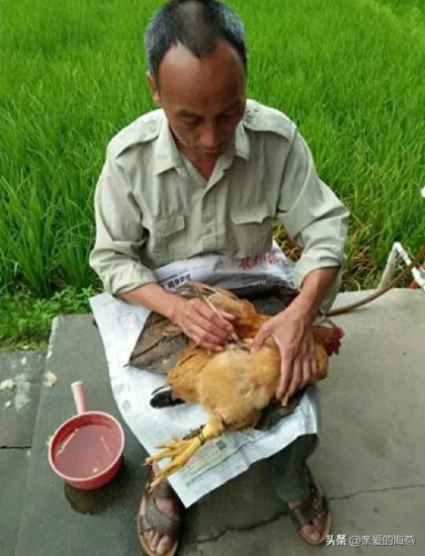 皮匠行业排名前十(皮匠顺口溜)插图
