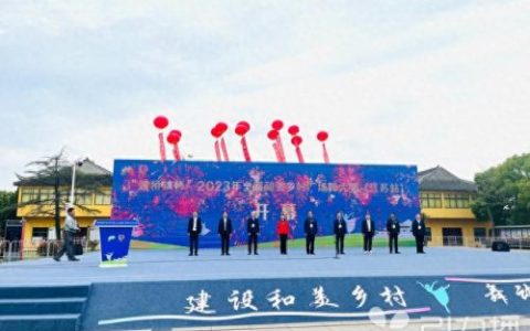 江苏广场舞排名前十(中国国内广场舞排名)