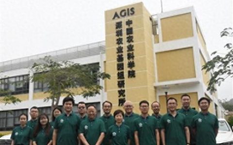 广西安全地毯厂家排名前十(广西品牌地毯销售厂家)