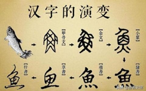象形字的演变(象形图片400张)