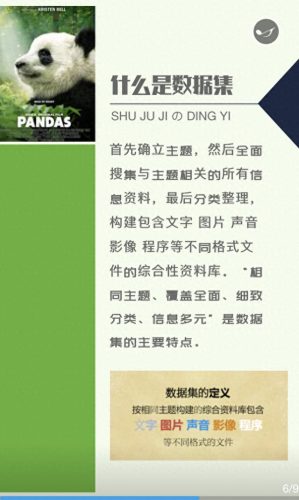 熊猫与傻瓜歌曲链接(熊猫与傻瓜的歌名)插图7