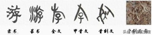 象形字的演变(象形图片400张)插图3