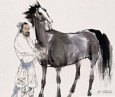 最准确的马报彩图(103期排列五的马报)插图7