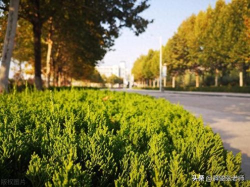 河南省前十职业大学排名(职业大学在河南省排名)插图6