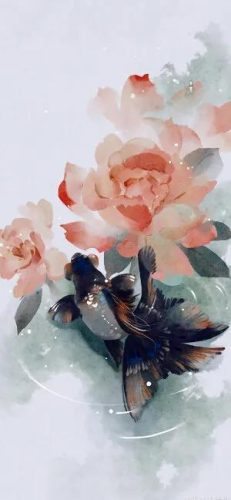 鱼鱼桌面秀(鱼鱼桌面秀侧边栏)插图71
