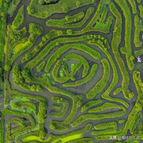 盐城水域排名前十(盐城市省内排名)插图78
