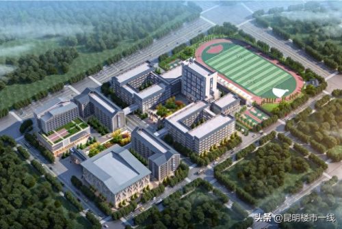 昆明西南小学排名前十(昆明十大最好小学排名)插图19
