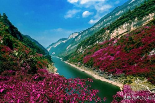 武隆景点排名前十(武隆附近景点有哪些)插图1