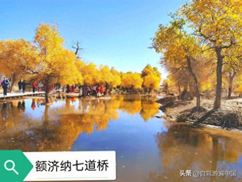 内蒙古20个景区排名前十(内蒙古十大五a景点)插图12