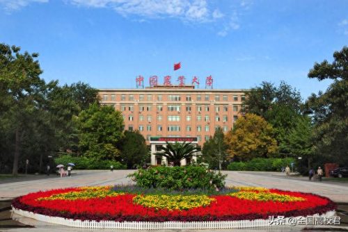 北京网上大学排名前十(北京985大学名单排名)插图7
