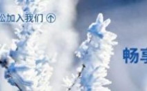 泰安卤菜排名前十(泰安高档餐厅排名)