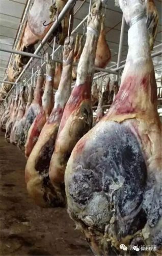 隆阳区美食 排名前十(隆阳十大特色美食)插图6