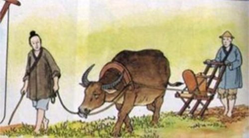 顺顺溜溜的意思(顺顺溜溜是叠词吗)插图3