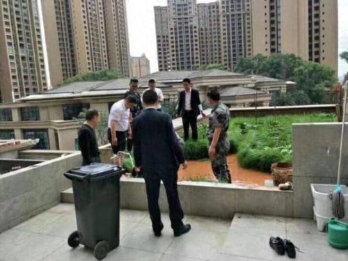 屋顶造空中秧田(屋顶菜园自动灌溉设计)插图