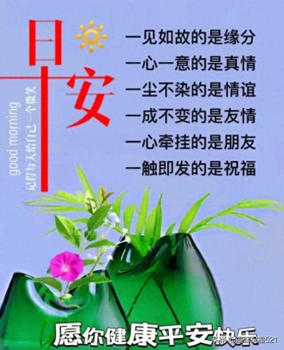 521创意图片(521有意思的图片)插图3
