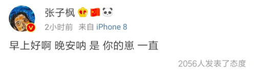 张子枫悼念粉丝(张子枫悼念去世粉丝)插图