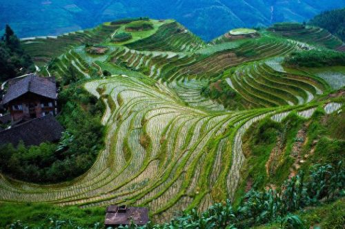 排名前十的梯田景点(必去中国50个最美地方)插图7