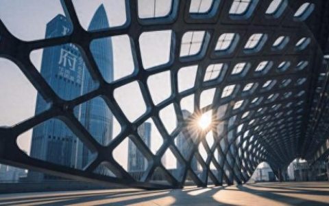 深圳建筑设计世界排名前十(中国获奖的建筑设计)