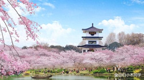 常州景区排名前十(常州景区十大排名)插图5