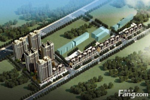 莘县小区排名前十(莘县初中排名一览表)插图1