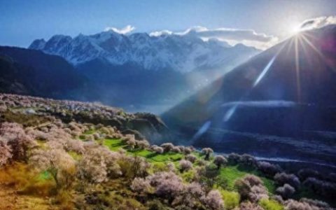 中华名山排名前十(中国四大名山)