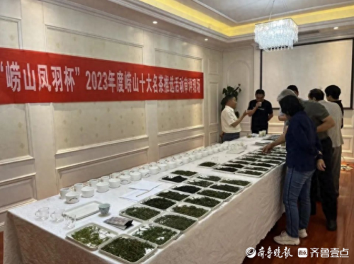 崂山绿茶排名前十(崂山绿茶有哪些品牌)插图