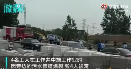 老虎咬饲养员被击毙(饲养员喂老虎为啥不喂饱呢)插图3