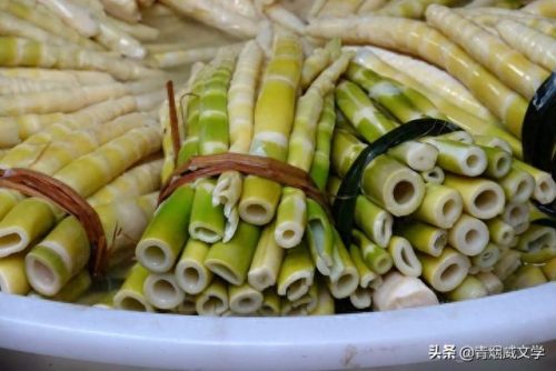 广元市农贸市场排名前十(广元大菜市场)插图4