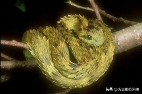 世界前十毒物排名(世界大宗商品前十排名)插图7