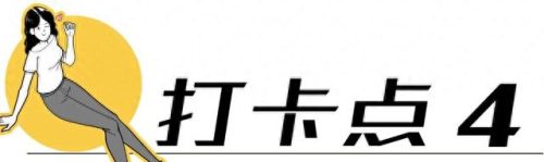 荷兰旅游排名前十(荷兰花海)插图22