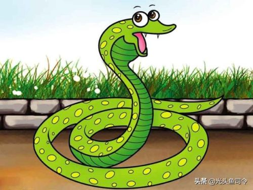 民间关于蛇的传说(有关蛇的传说)插图