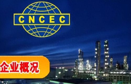 河南省的建筑企业排名前十(河南省有多少家建筑特级企业)插图3