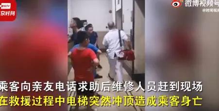 老虎咬饲养员被击毙(饲养员喂老虎为啥不喂饱呢)插图2