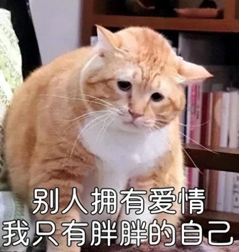排名前十的瘦腿产品有用吗(瘦腿的产品哪个最有效)插图6