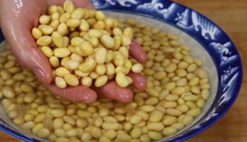 豆类功效排名前十(红薯和豆类能同食吗)插图1