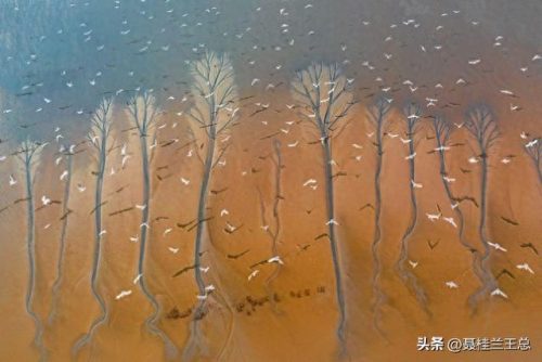 盐城水域排名前十(盐城市省内排名)插图12