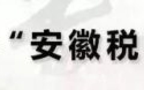 安徽国税网(中国安徽国税网)