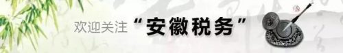安徽国税网(中国安徽国税网)插图