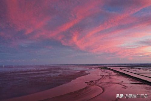 盐城水域排名前十(盐城市省内排名)插图18