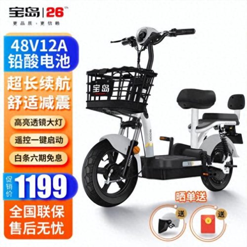 高续航电动自行车排名前十(2023高续航电动自行车排行)插图3