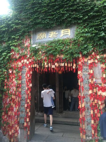 上海到乌镇自驾路线(上海到乌镇高铁)插图6